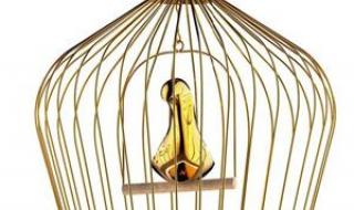 笼中金丝雀比喻什么样的人 笼子里的金丝雀